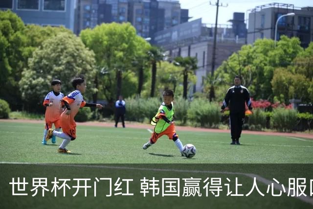 世界杯开门红 韩国赢得让人心服口服