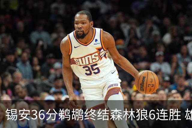 锡安36分鹈鹕终结森林狼6连胜 雄鹿险胜公牛